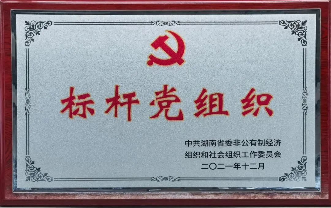 党建品牌亮起来！币游国际智能党委获评“标杆党组织”