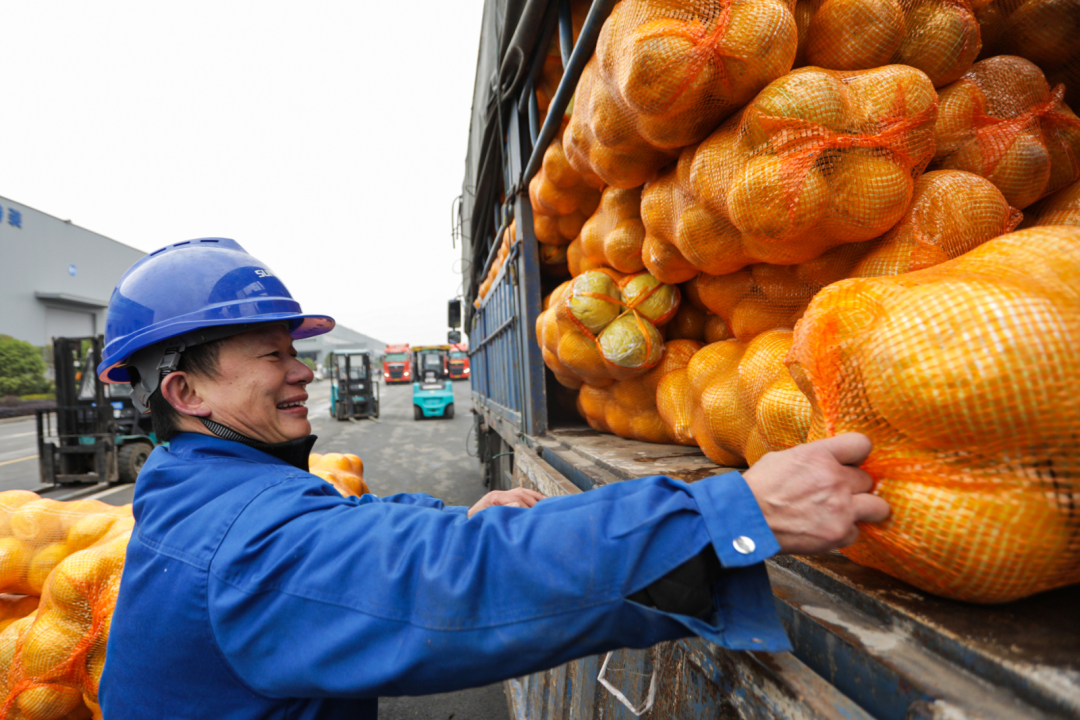 点赞！币游国际智能乐成入选“上市公司墟落振兴优异实践案例”