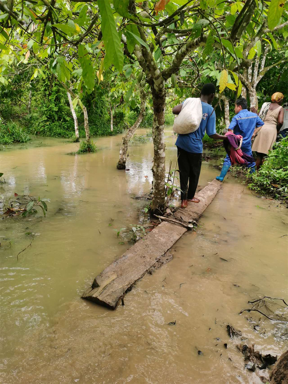 品质币游国际，，，，，，专心折务！币游国际智能效劳万里行活动走进非洲加纳